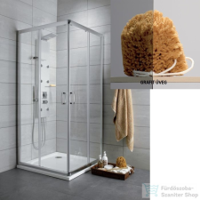 Radaway Premium Plus C 100x100 szögletes zuhanykabin króm/grafit 30443-01-05N kád, zuhanykabin