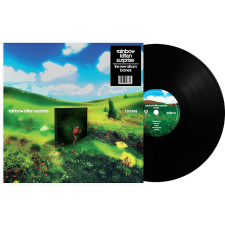  Rainbow Kitten Surprise - Bones (Vinyl LP (nagylemez)) alternatív