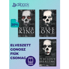 Rainy days ELVESZETT GONOSZ FIÚK CSOMAG egyéb e-könyv