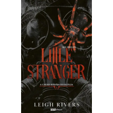 Rainy days Little Stranger - Kis Idegen regény