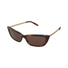 Ralph Lauren Napszemüvegek Ralph Lauren RL8173 500773