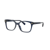 Ralph Lauren RA7174U 6059
