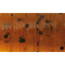 Rapture Ulc Cricket 33mm/1ggeen Pumpkin Bf 8 db lágygumi csali csali