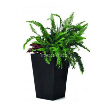  Rattan planter S virágtartó kerti dekoráció