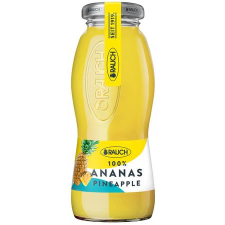 Rauch Üdítőital, szénsavmentes, 0,2 l, RAUCH " Prémium", ananász üdítő, ásványviz, gyümölcslé