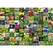 Ravensburger 1000 Darabos Puzzle - 99 Gyógy- és Fűszernövény (GXP-724617) puzzle, kirakós