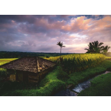 Ravensburger Ravensburger Bali rizsföldek puzzle 500 darabos puzzle, kirakós