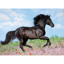 Ravensburger Ravensburger gyönyörű ló puzzle 200 darabos puzzle, kirakós