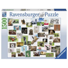 Ravensburger Ravensburger: Puzzle 1500 db - Vicces állatok puzzle, kirakós