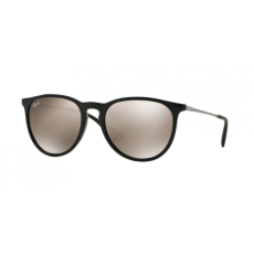 Ray-Ban 4171 ERIKA 601/5A