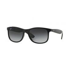 Ray-Ban 4202 601/8G napszemüveg