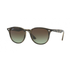 Ray-Ban 4259 731/E8