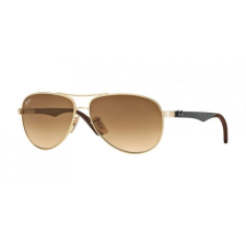 Ray-Ban Carbon Fibre RB8313 001/51-58 napszemüveg