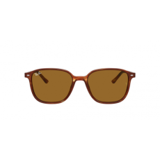 Ray-Ban Leonard RB2193 954/33
