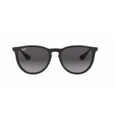 Ray-Ban Ray   Ban   Erika   RB4171   622/8G   54   18   3P   polarized napszemüveg