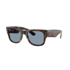 Ray-Ban Ray Ban RB0840S 902/56