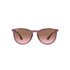 Ray-Ban Ray Ban RB4171 659114