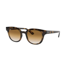 Ray-Ban RAY BAN RB43245071051 UNISEX napszemüveg