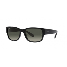 Ray-Ban Ray Ban RB4388 601/71