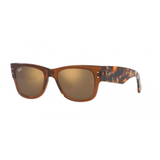 Ray-Ban RB0840S 663693