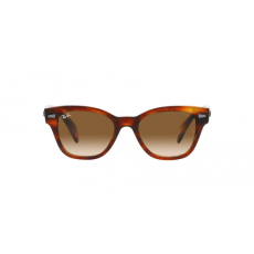 Ray-Ban RB0880S 954/51