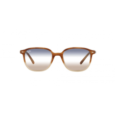 Ray-Ban RB2193 1328GD napszemüveg