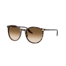 Ray-Ban RB2204 143151 Havana Yellow Tortoiseshell Clear Gradient Brown napszemüveg