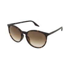 Ray-Ban RB2204F 902/51