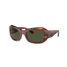 Ray-Ban RB2212 954/31
