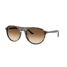 Ray-Ban RB2215 143151 Havana Yellow Tortoiseshell Clear Gradient Brown napszemüveg