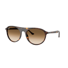 Ray-Ban RB2215 902/51 Havana Clear Gradient Brown napszemüveg