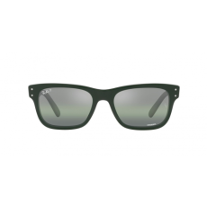Ray-Ban RB2283 6659G4