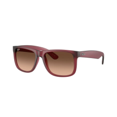 Ray-Ban RB4165 6815A5