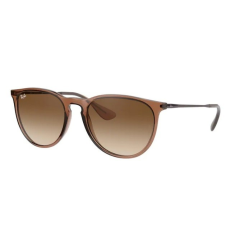 Ray-Ban RB4171 651413 ERIKA TRANSPARENT LIGHT BROWN BROWN GRADIENT DARK BROWN napszemüveg