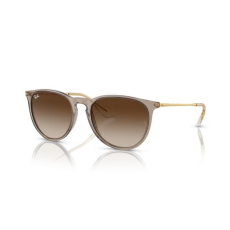 Ray-Ban RB4171 674413 ERIKA TRANSPARENT LIGHT BROWN BROWN GRADIENT napszemüveg
