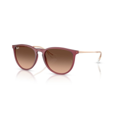 Ray-Ban RB4171 6815A5 ERIKA RUBBER VIOLET PINK GRADIENT BROWN napszemüveg napszemüveg