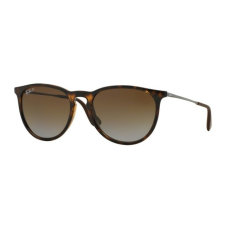 Ray-Ban RB4171 710/T5 ERIKA HAVANA POLAR BROWN GARDIENT napszemüveg napszemüveg