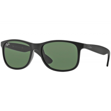 Ray-Ban RB4202 - 6069/71 napszemüveg