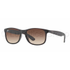 Ray-Ban RB4202 607313