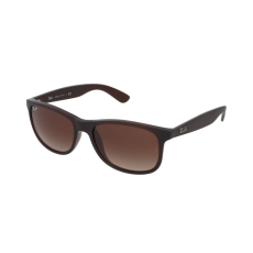 Ray-Ban RB4202 607313
