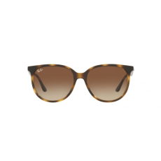 Ray-Ban RB4378L 710/13