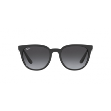 Ray-Ban RB4381I 61858G