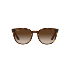 Ray-Ban RB4381I 710/13
