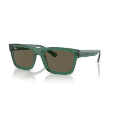 Ray-Ban RB4396 6681/3 WARREN TRANSPARENT GREEN DARK BROWN napszemüveg napszemüveg