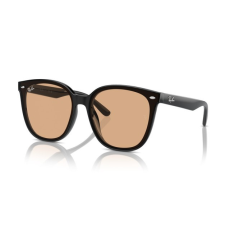 Ray-Ban RB4423D 601/93 BLACK LIGHT BROWN napszemüveg