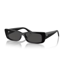 Ray-Ban RB4425 667787 TERU BLACK DARK GREY napszemüveg