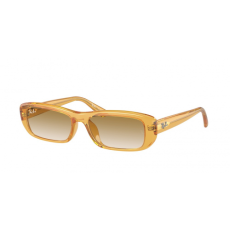 Ray-Ban RB4436D 668213
