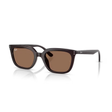 Ray-Ban RB4439D 623173 OPAL BROWN BROWN napszemüveg