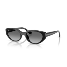 Ray-Ban RB4457D 667711 BLACK GREY GRADIENT napszemüveg napszemüveg