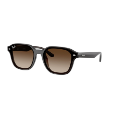 Ray-Ban RB4458D 714/13 Transparent Dark Brown Gradient Brown napszemüveg napszemüveg